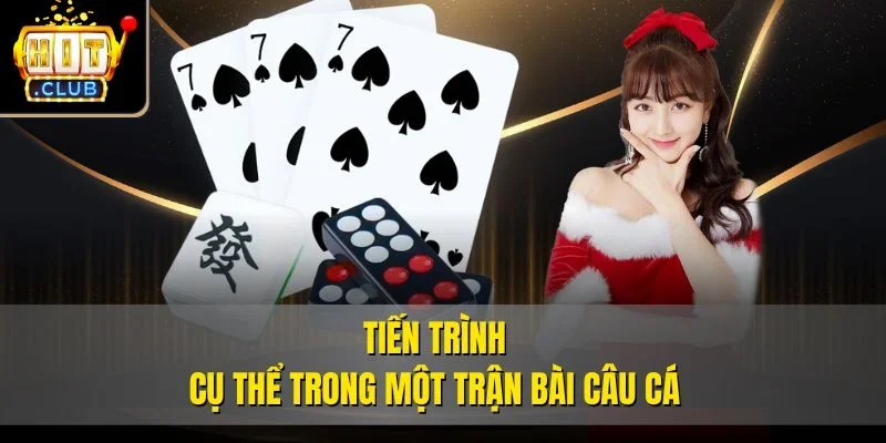 Tiến trình cụ thể trong một trận bài câu cá