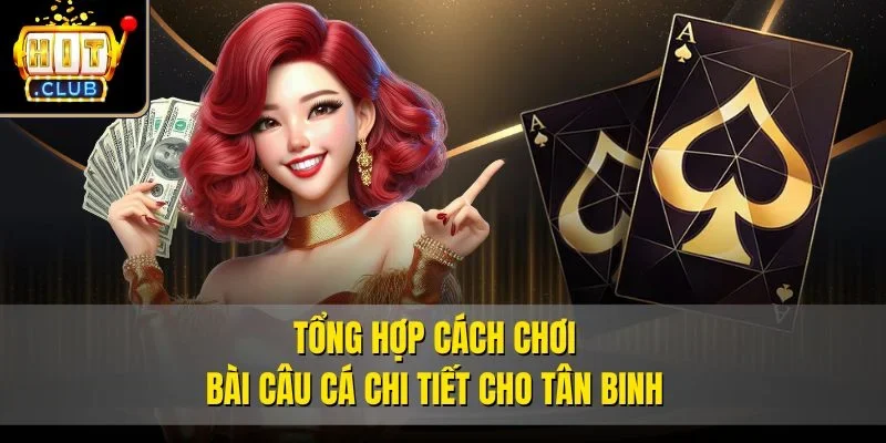 Tổng hợp cách chơi bài câu cá chi tiết cho tân binh