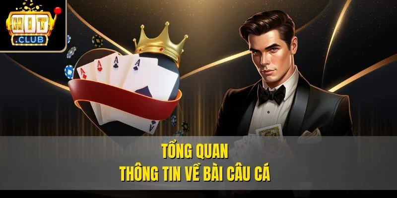 Tổng quan thông tin về bài câu cá
